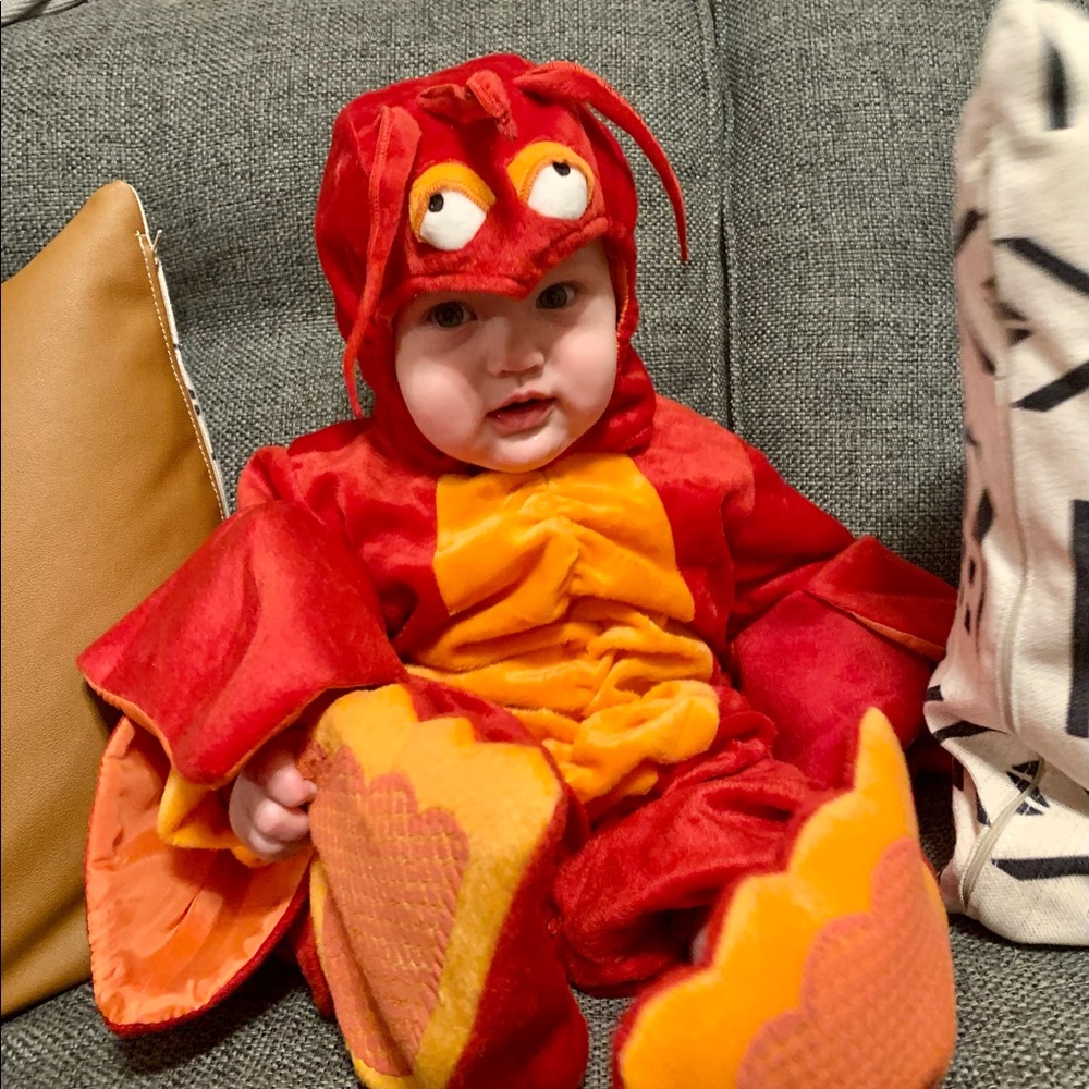 Children’s ‘Lil Lobster 🦞 Costume